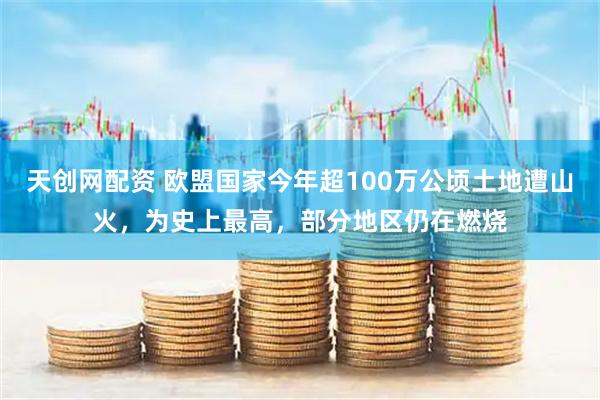 天创网配资 欧盟国家今年超100万公顷土地遭山火，为史上最高，部分地区仍在燃烧