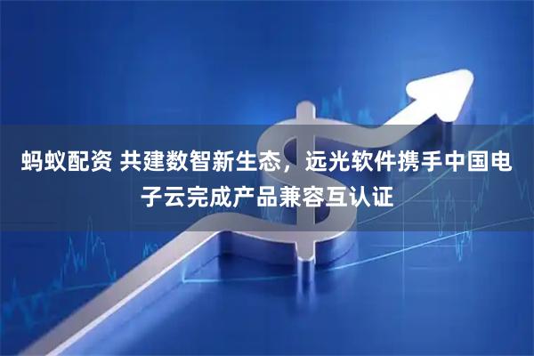 蚂蚁配资 共建数智新生态，远光软件携手中国电子云完成产品兼容互认证