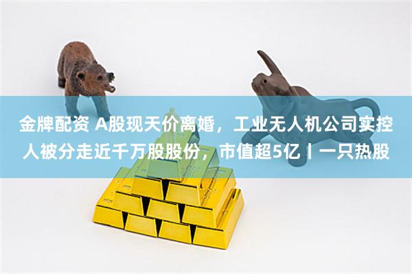 金牌配资 A股现天价离婚，工业无人机公司实控人被分走近千万股股份，市值超5亿丨一只热股
