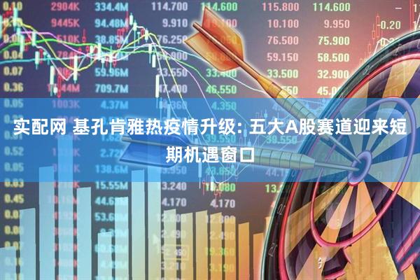 实配网 基孔肯雅热疫情升级: 五大A股赛道迎来短期机遇窗口